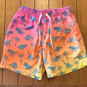 Chubbies Mens Small 5.5 Inseam Pink Orange Dinosaur Ombre Swim Trunks Shorts